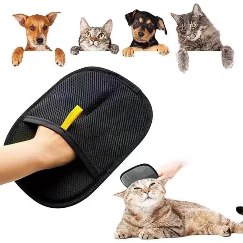 Pet Hair Cleaning