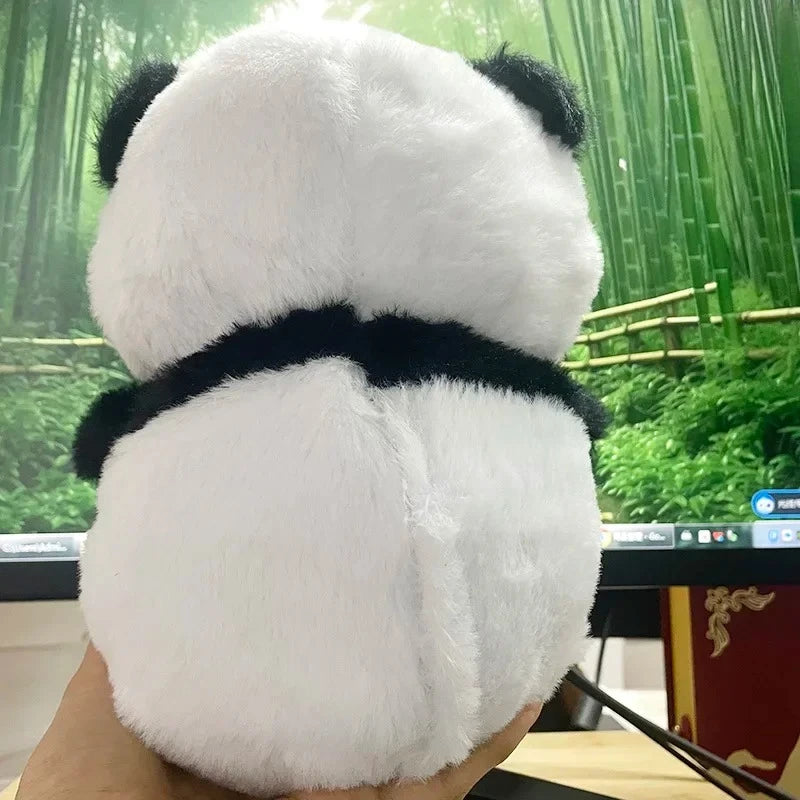 panda Baby