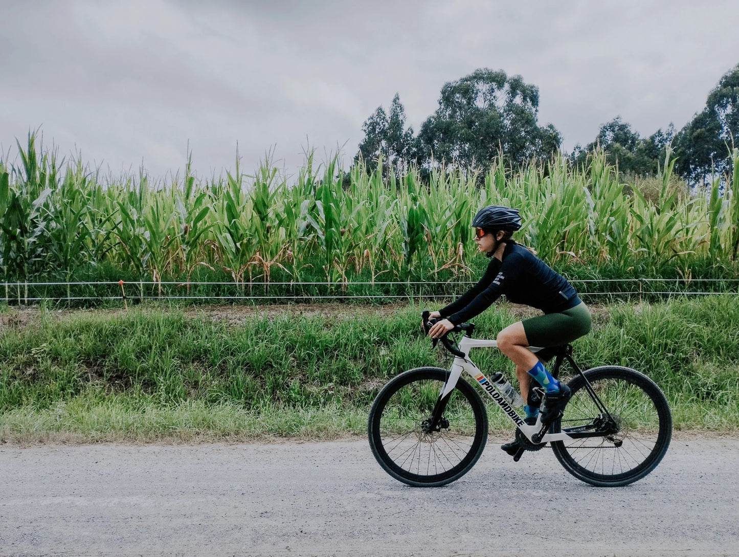 Cycling Jersey Long Sleeve Pro Aero